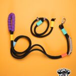 SET CORREA Y COLLAR (MIDNIGTH LOOP)
