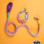 SET CORREA Y COLLAR (GRAPE CRUSH)